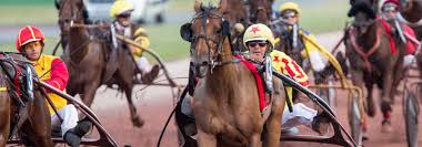 Vous pourrez réserver le jour même pour un hôtel ou un séjour d'une semaine, voire pour le lendemain. La Derniere Minute De Studio 6 1 Pour Le Quinte Du Jour Studio 6 1