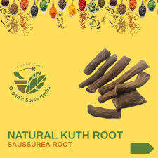 Kuth Root, Costus Root, Saussurea Root, Costus Root Powder, Kuth Powder,  Kushta, Mokkou, Mu Xiang, Saw Wort, Snow Lotus, Organicspiceherbs - Etsy