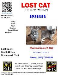 Pawmaw can help you find your lost pet quickly. Lost Cats Toronto Posts Facebook