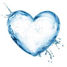 People depend on safe water for their health and livelihood. Healthier By Implement This New Habit In Your Everyday Life