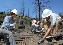 Christian Tappe 14 And Lee Farese 15 Working In Blodgett Peak Open Space In Colorado Springs Burned In The Waldo Canyon F Colorado College College Us School