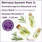 Nervous System Part 3: Aromatherapy for Relaxation event image