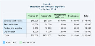Statement Of Functional Expenses Accountingcoach