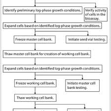 This is the sberbank company profile. Pdf Recommendations For Cell Banks Used In Gxp Assays