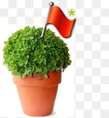 Free planta manjerico vector download in ai, svg, eps and cdr. Manjerico Png And Manjerico Transparent Clipart Free Download Cleanpng Kisspng