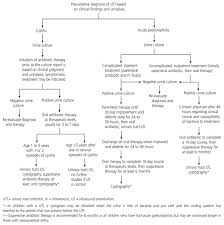 Young children have a greater risk of kidney damage linked to uti than older children or adults. Urinary Tract Infections In Children Why They Occur And How To Prevent Them American Family Physician