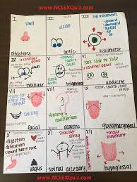 pin on nursing school study tips nclex making flashcards online