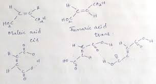 Solved Maleic Acid And Fumaric Acid (Below) Also Add | Chegg.Com