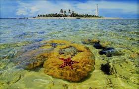 Maybe you would like to learn more about one of these? Ini Lho 5 Tempat Wisata Di Samarinda Yang Kece Di Instagram Lazuva Com Tempat Wisata Indonesia Pariwisata Indonesia