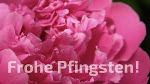 Hier finden sich viele pfingstgrüße in form von grußbildern, aber auch kurze sprüche. 30 Bilder Pfingsten Kostenlos Besten Bilder Von Ausmalbilder
