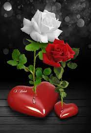 Romantic love wallpapers capture the unconscious moments impossible to describe with words. Love Wallpaper Romantic Plant Love Wallpaper Romantic Beautiful Pictures
