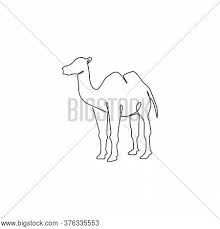 In the end, you should have a rough draft of the camel's whole body. One Continuous Line Vector Photo Free Trial Bigstock