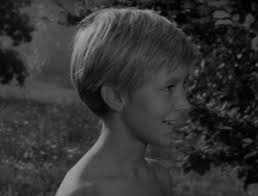 Ivan's Childhood (1962)
