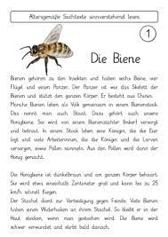 In welche klasse arbeitnehmer einsortiert werden, hängt dabei unter anderem von den individuellen umständen, der familiären und der beruflichen situation ab. Sachtexte Insekten Fraumohrsrasselbandes Webseite