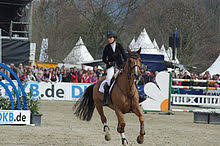 Il cavaliere svedese henrik von eckerman e l'amazzone svizzera janika sprunger si trasferiranno presto in olanda. Janika Sprunger Wikipedia