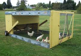 Darker colors will always be dominant, it's just basic genetics 101. Chicken Tractor 101 What It Is The Basics Of Building One Modern Farmer
