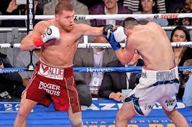 Origin canelo alvarez is a mexican professional boxer with a professional record of 52 wins, 2 draws and 1 loss. Die Hochstdotierten Vertrage Im Profisport Baseballstar Mike Trout Ubertrifft 400 Millionen Dollar Marke Bildergalerien Mediacenter Tagesspiegel