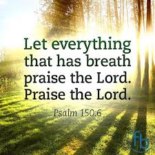 Let Everything That Has Breath Praise The Lord Bible Verse Let Everything That Has Breath Praise The Lord Praise The Lord Psalm 150 6 Niv Votd Bixbyoklahoma Bixbyok Tulsaok Praise The Lords Psalm 150 Psalms
