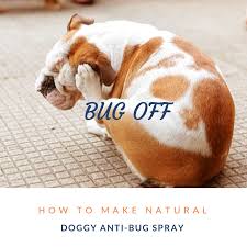 Bug Off How To Make Natural Anti Bug Spray For Dogs Canine Muscleworks