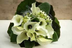 Weitere ideen zu hochzeit, schleierkraut hochzeit, hochzeitsblumen. Brautstrausse Aus Callas