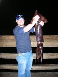 Ken Jones Writer Pierfisherman Page 61