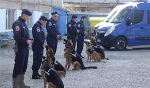 Inspectoratul pentru situatii de urgenta isu dobrogea al judetului constanta scoate la concurs, cu recrutare din sursa externa un numar de 26 pentru mai multe detalii, vă puteţi adresa biroului resurse umane la numărul de telefon 0241.617.381, int. Se Fac AngajÄƒri La Jandarmeria IaÈ™i Impact Fm Romania