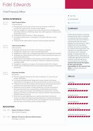Are you looking for a chief financial officer resume example our resume example package has it! Chief Financial Officer Resume Sample Resumekraft Cute766
