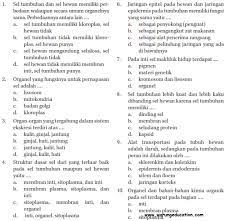We did not find results for: Soal Ipa Kls 7 Bab1 Uraian Jawabanku Id