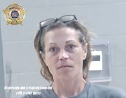 Livingston Daily-Times