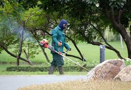 When looking into professional lawn care, however, costs can be intimidating. Lawn Care How Much Does It Cost Sassy Townhouse Living