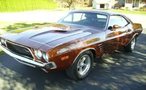 Image result for Medium Brown 1983 Challenger