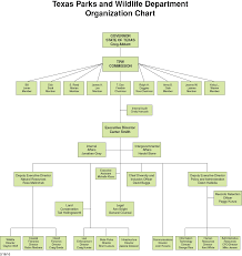30 Methodical Enchanted Kingdom Organizational Chart