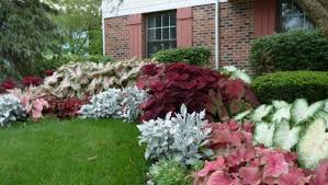 Schattenpflanzen In Prachtvollen Farben Fur Einen Magischen Garten Einen Farben Fur Garten Magischen P In 2020 Shade Plants Shade Garden Best Perennials For Shade