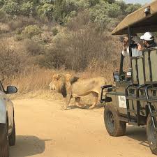 Bothongo Rhino & Lion Nature Reserve Reviews 2025