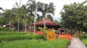 Mekarbuana, tegalwaru, kabupaten karawang, jawa barat 41362, indonesia maps: Rumah Villa Di Loji Curug Karawang Kab Karawang Jualo