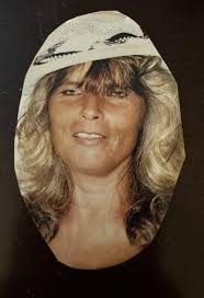 Brigitte Schill Johnson Obituary (2023)