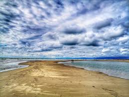 File:Vecchiano - spiaggia marina di Vecchiano - 202109021701.jpeg - Wikimedia Commons