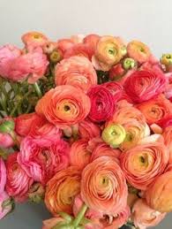 Our assortment of gorgeous flowers for under $50 are the perfect way to celebrate an anniversary, birthday, holiday, or any special occasion where you want to show how much you order the perfect flowers under $50 for your special someone today and enjoy the priceless expression on their face! 200 Flower Wow Rs Ideas In 2021 Flower Arrangements Beautiful Flowers Floral Arrangements