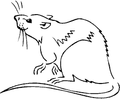 Youngsters are able to think of just how a picture might look in different color mixes. Lab Rats Coloring Pages Coloring Home