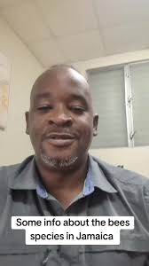 Crab spider🕷️ vs. bee 🐝 #spider #bee #hunt #NatureDocumentary #wildl...