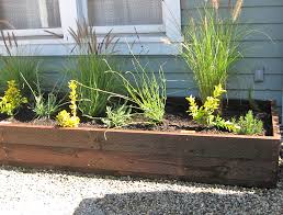 Growing tips it can grow in highly saline soil and is also drought resistant. Planters Planter Boxes Floresartscape Com
