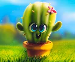 picture of cute baby cactus