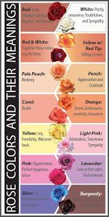 12 Rose Meaning Which Color Represents Your Relationship Best Tips For Decorating With A Floral P In 2020 Rose Color Meanings Color Meanings Rose Meaning