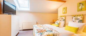 appartement nr 9 ohne balkon 1 og dg appartements bei familie schulz im ostseebad binz auf rugen