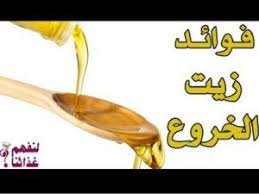 فوائد زيت الخروع ما لا تعرفه عن الخروع موضوع يهمك Makeup