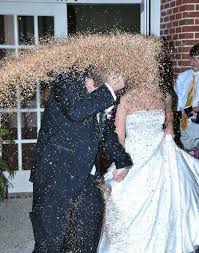 We Can T Throw Rice Anymore Let S Throw Bees Tosh 0 Flawless Wedding Pics Worst Wedding Photos Wedding Photos Crazy Wedding Photos