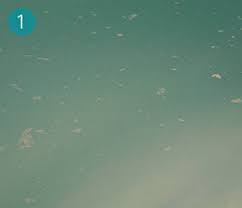 Ist Ihr Poolwasser Milchig Wir Losen Das Problem Bayrol