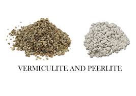 What is the best growing medium for hydroponics? Vermiculite Vs Perlite Insulation World Kenya Limited Insulation World Kenya Limited
