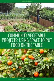 Community Vegetable Projects Using Space To Put Food On The Table In 2020 Community Gardening Food Garden Growing Vegetables