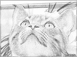 11 inspirant de coloriage trop mignon photographie chat chaton images ange